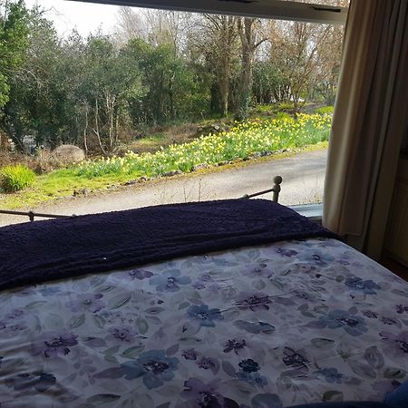 Hollybanks Daire Moycullen Oda fotoğraf