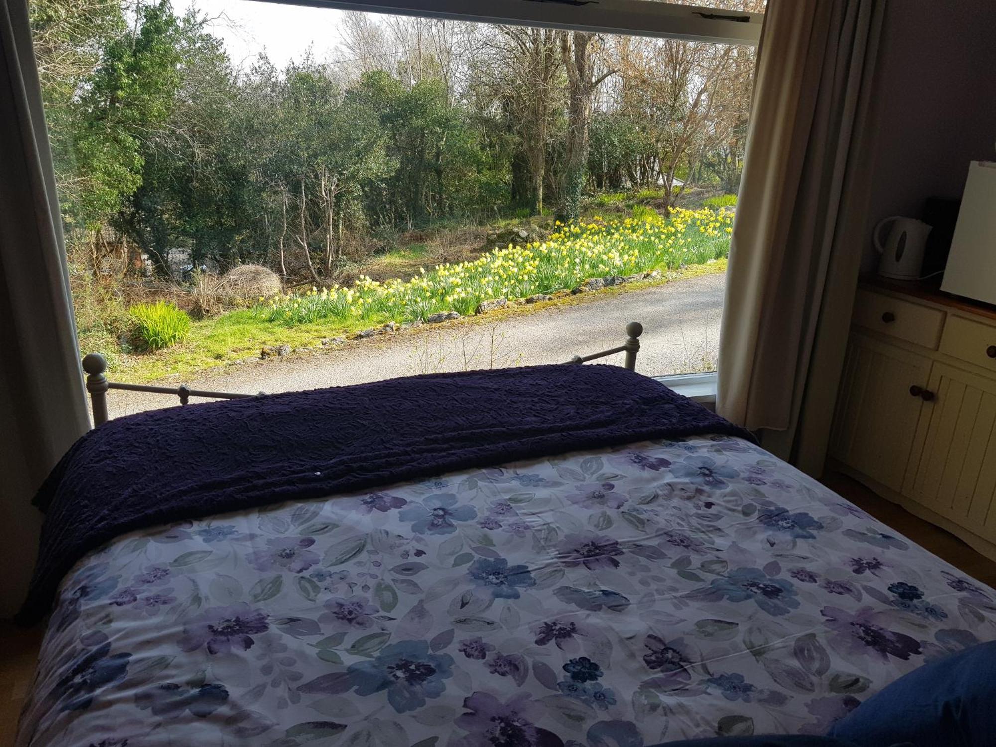 Hollybanks Daire Moycullen Oda fotoğraf