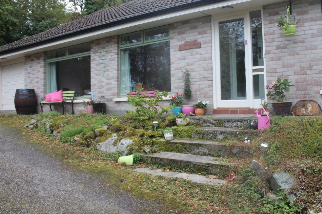 Hollybanks Daire Moycullen Dış mekan fotoğraf
